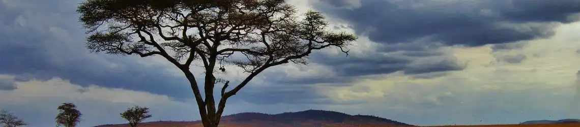 Afrika - Länder och resmål med temperatur och väder