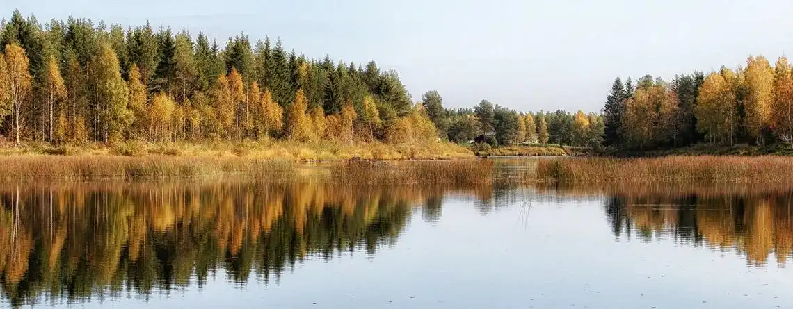 Medeltemperatur Finland