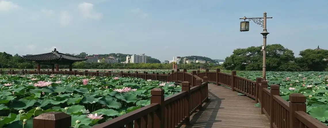 Väder Gyeongju