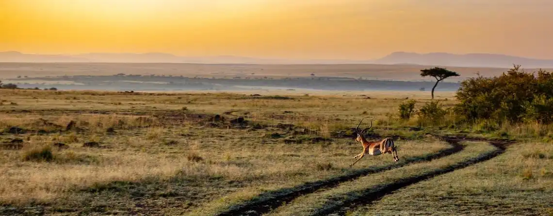 Väder Kenya