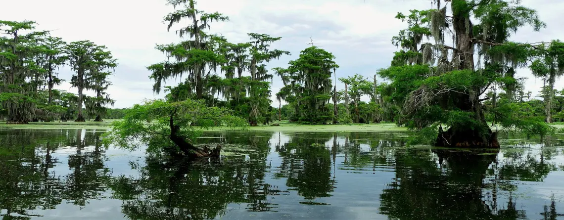 Medeltemperatur Louisiana