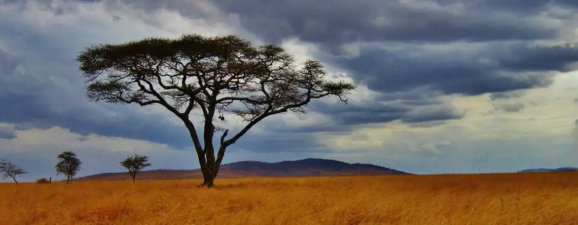 Medeltemperatur Tanzania