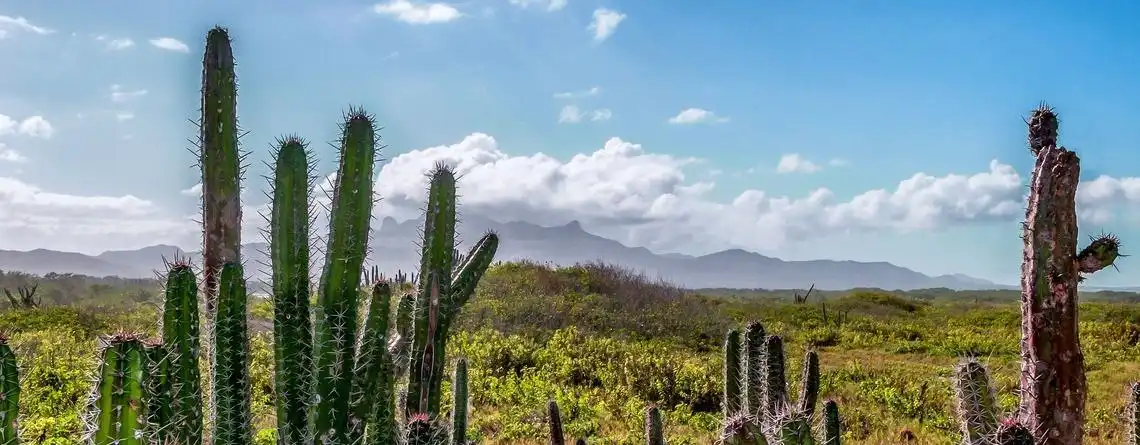 Medeltemperatur Venezuela