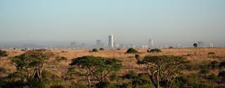 Medeltemperatur Nairobi